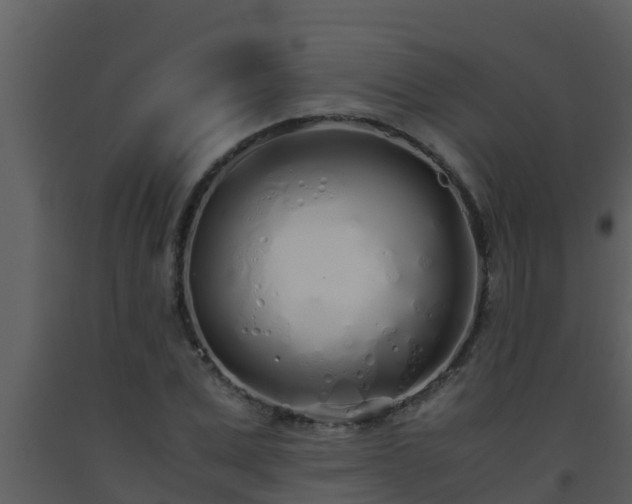 X0000093530975200710191350