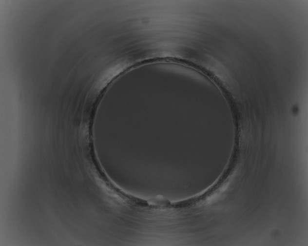 X0000093530977200710191350