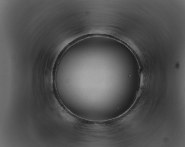 X0000093530980200710191350