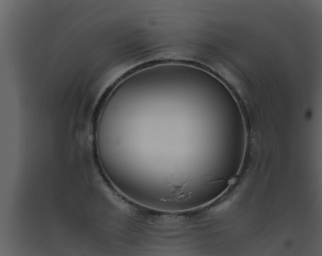X0000093530981200710191350
