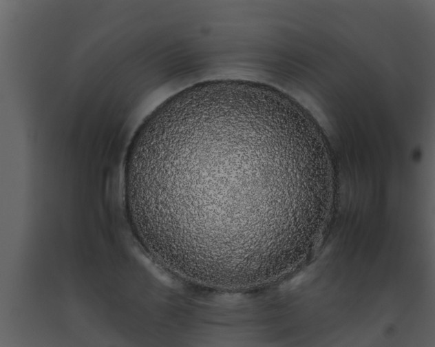 X0000093530982200710191350