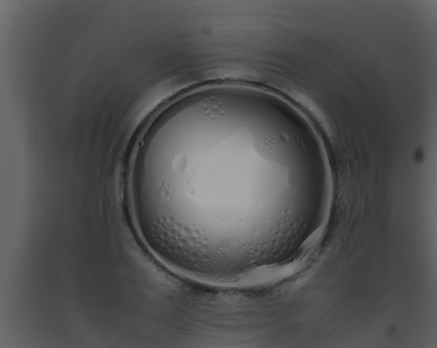 X0000093530983200710191350
