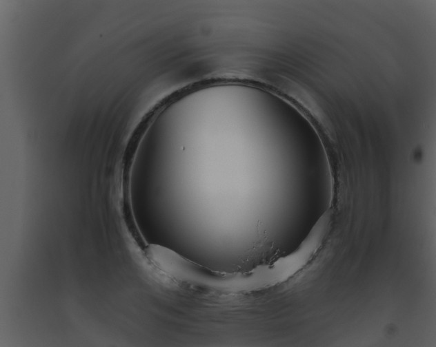 X0000093530984200710191350