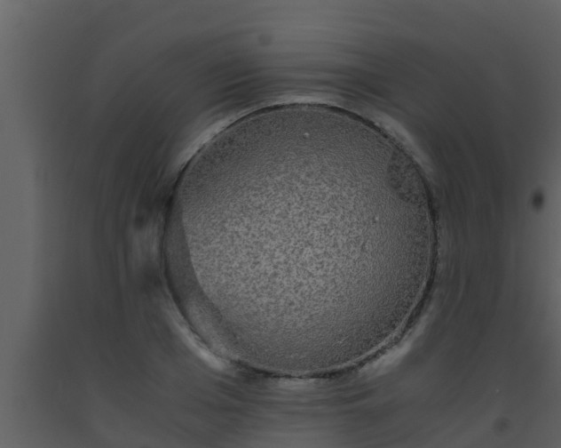 X0000093530985200710191350
