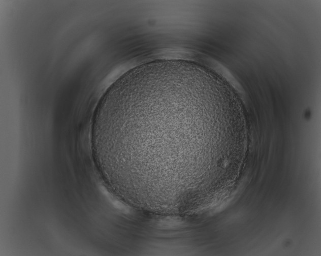 X0000093530986200710191350