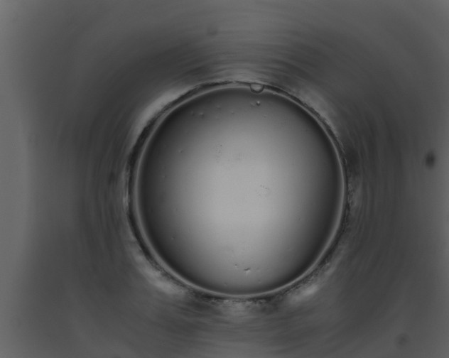X0000093530987200710191350