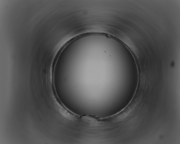 X0000093530988200710191350