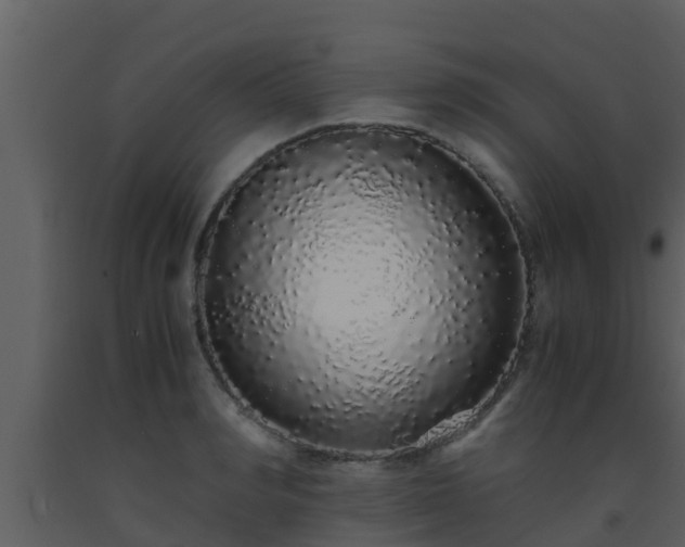 X0000093530990200710191350