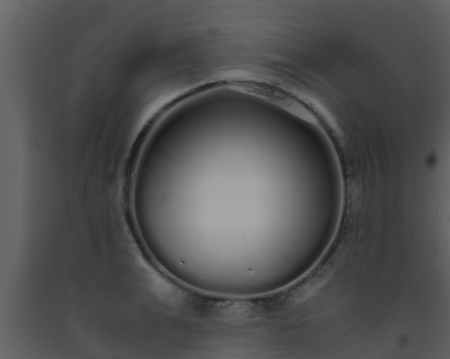X0000093530991200710191350