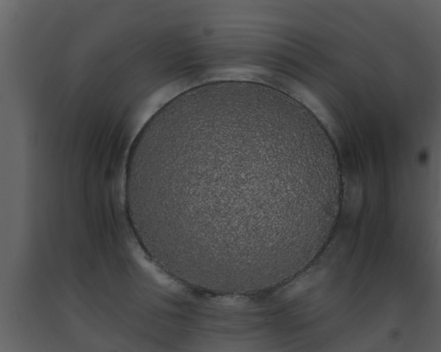 X0000093530994200710191350