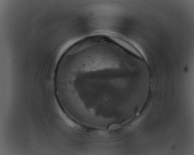 X0000093530995200710191350