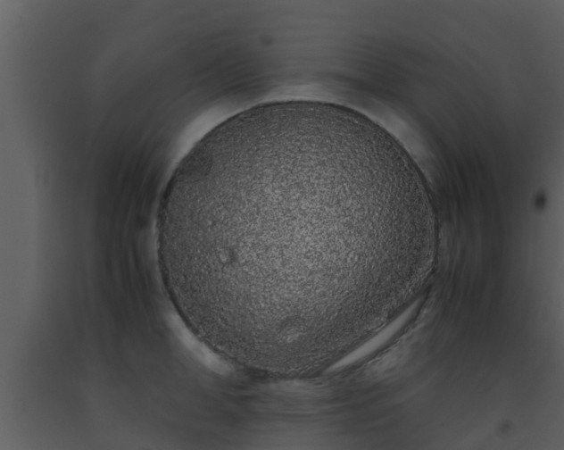 X0000093530998200710191350