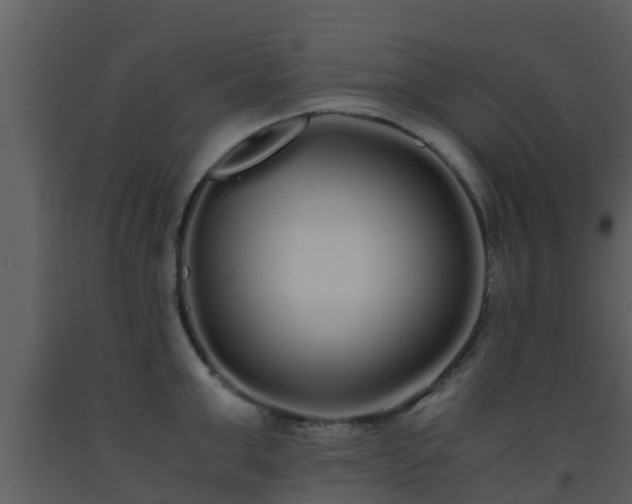 X0000093530999200710191349