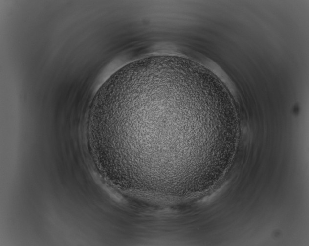 X0000093531002200710191349