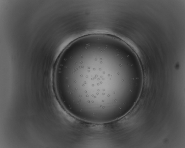 X0000093531006200710191349