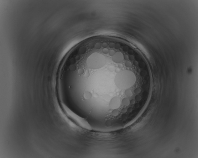 X0000093531007200710191349