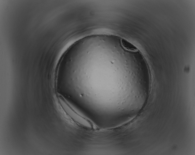 X0000093531008200710191349