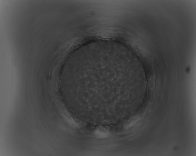 X0000093531009200710191349