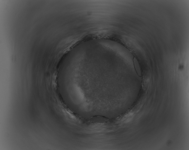 X0000093531010200710191349
