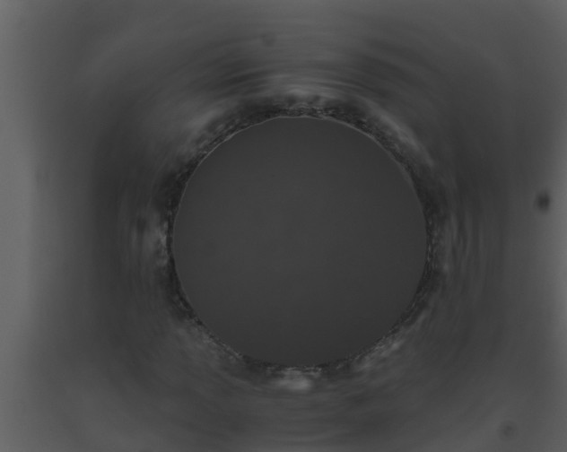 X0000093531013200710191349