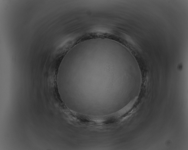 X0000093531014200710191349