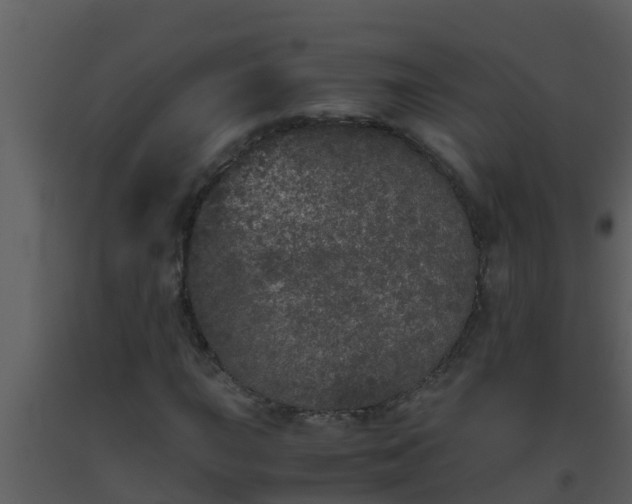 X0000093531015200710191349