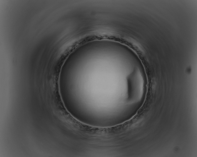 X0000093531016200710191349