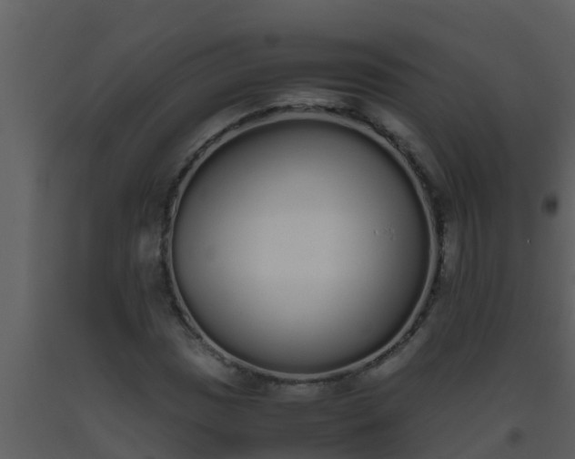 X0000093531017200710191349