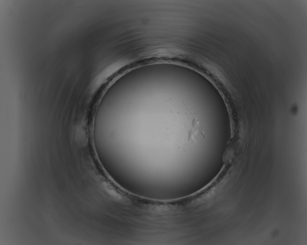 X0000093531018200710191349