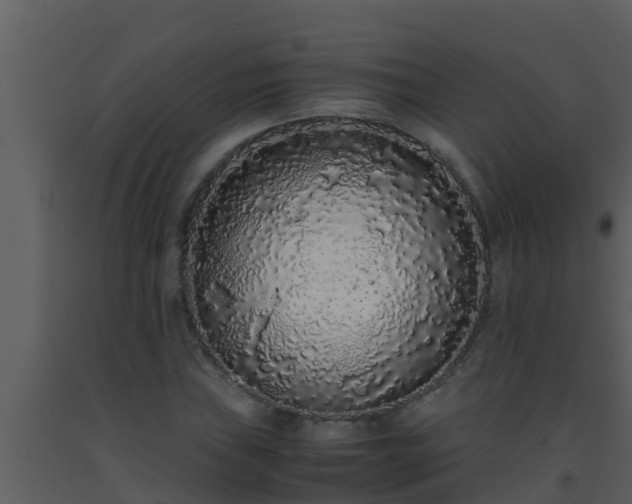 X0000093531019200710191349