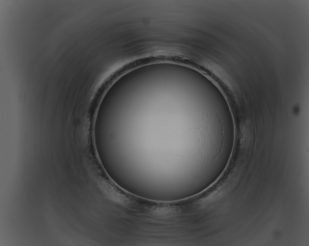 X0000093531021200710191349