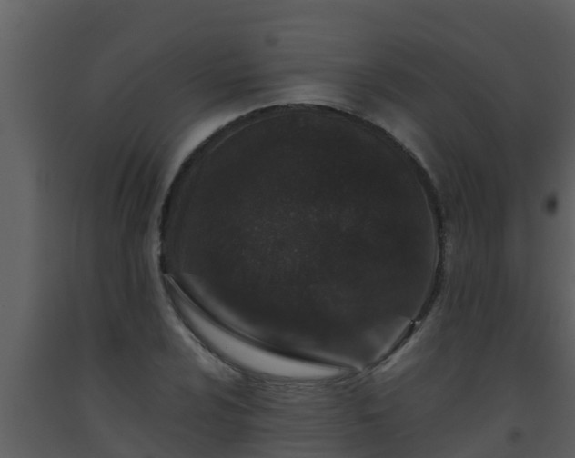 X0000093531024200710191349