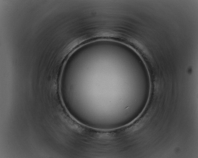 X0000093531025200710191349