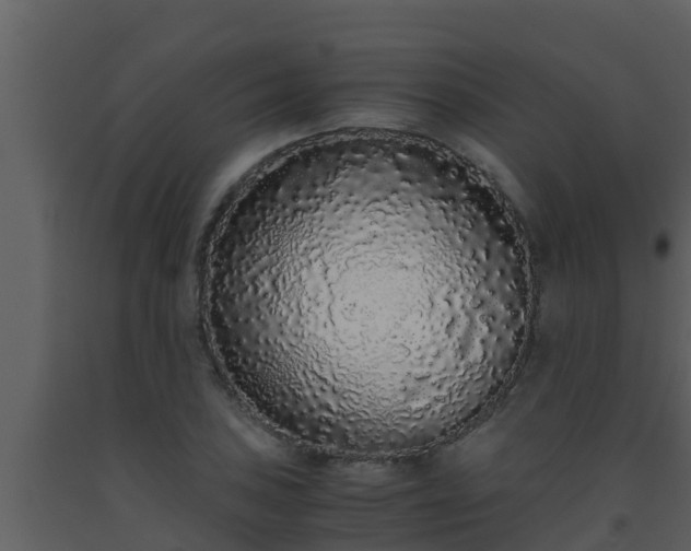 X0000093531027200710191349