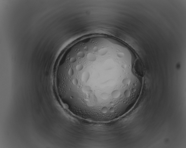 X0000093531028200710191349