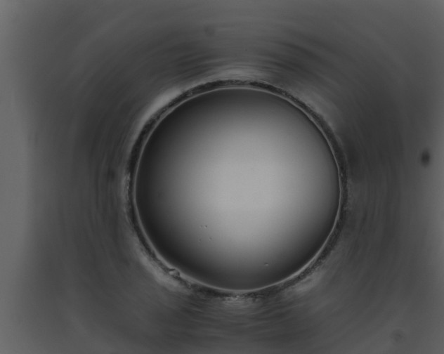X0000093531029200710191349