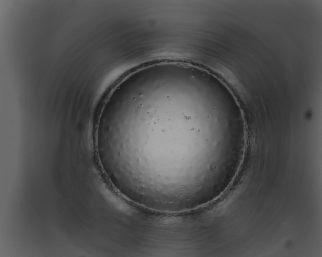 X0000093531030200710191349