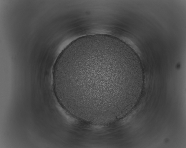 X0000093531031200710191349