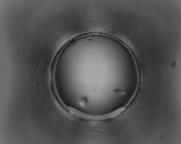 X0000093531032200710191349