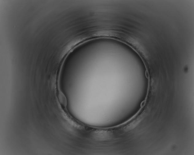 X0000093531033200710191349