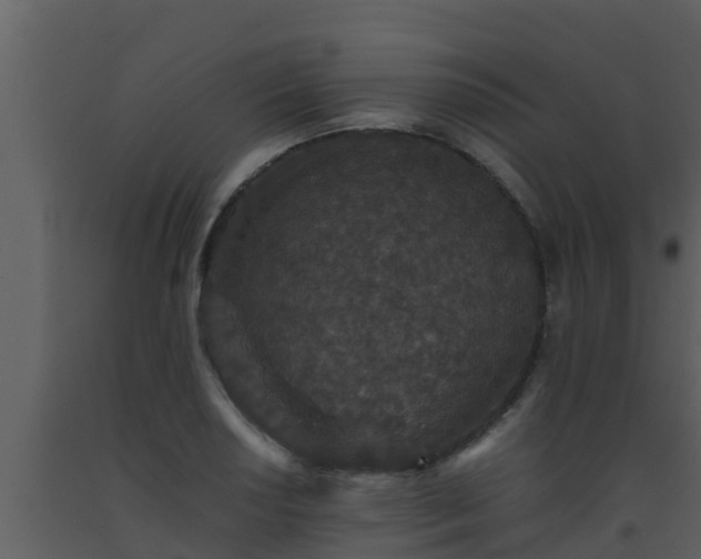 X0000093531034200710191349
