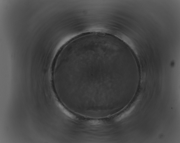 X0000093531037200710191349
