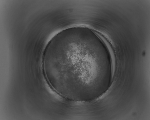 X0000093531038200710191349