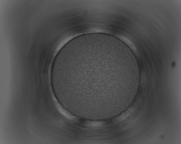 X0000093531039200710191349