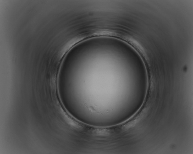 X0000093531041200710191349