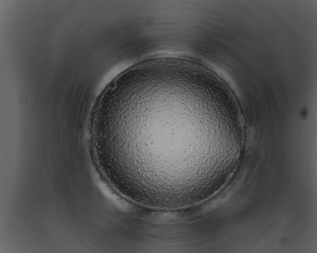 X0000093531042200710191349