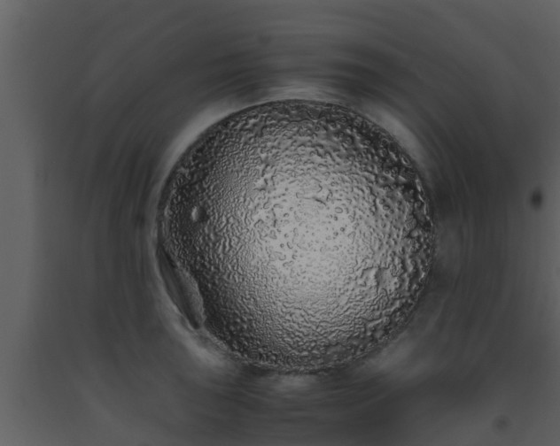 X0000093531043200710191349
