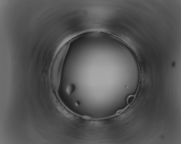 X0000093531044200710191349