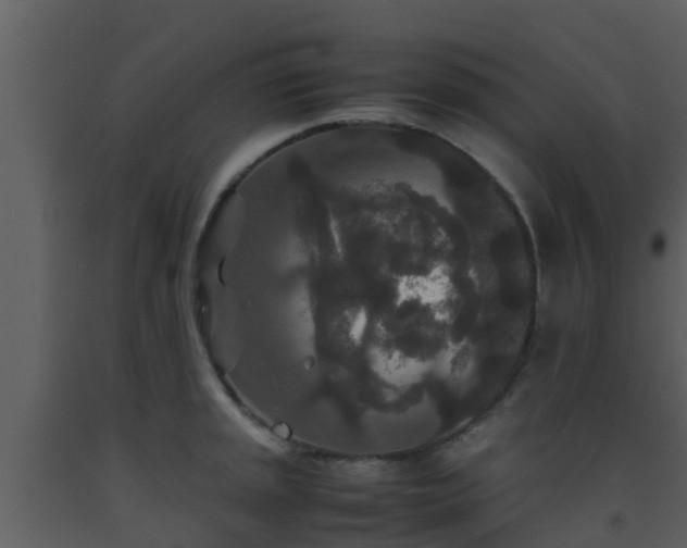X0000093531045200710191349