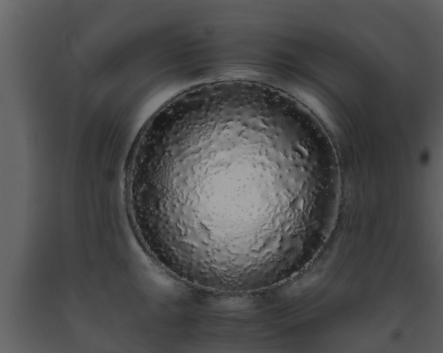X0000093531047200710191349